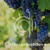 Jean 2.17-25